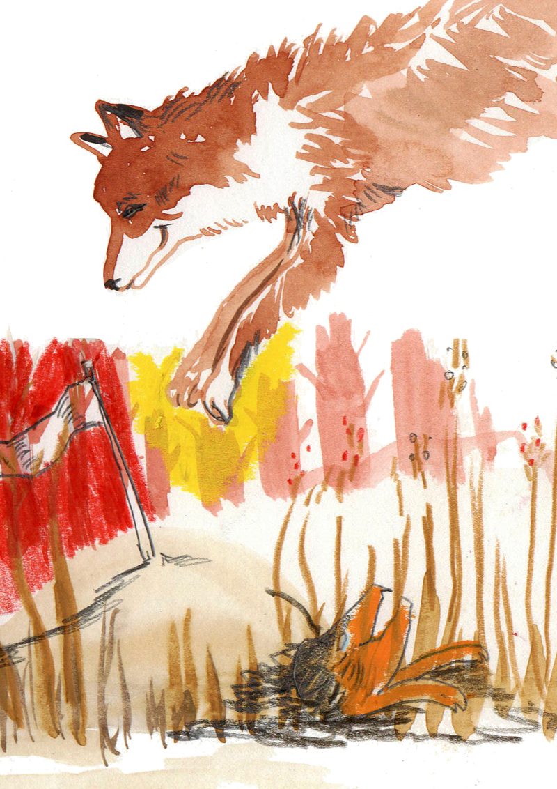 2026 Reynaert de vos